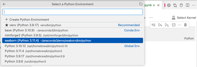 select a python environment